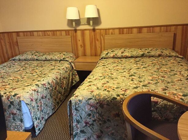 Imagen de la habitación del Hotel Black Forest Inn of Adamstown. Foto 4