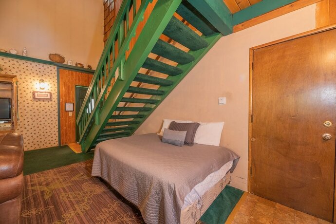 Imagen general del Hotel Black Forest Lodge And Cabins. Foto 3