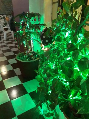 Imagen general del Hotel Black Pepper Guest House. Foto 5