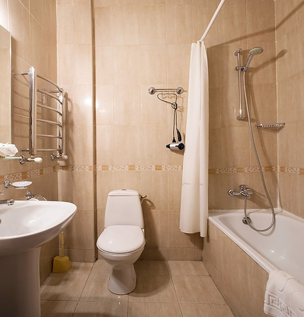 Imagen de la habitación del Hotel Black Sea Panteleymonovskaya. Foto 11