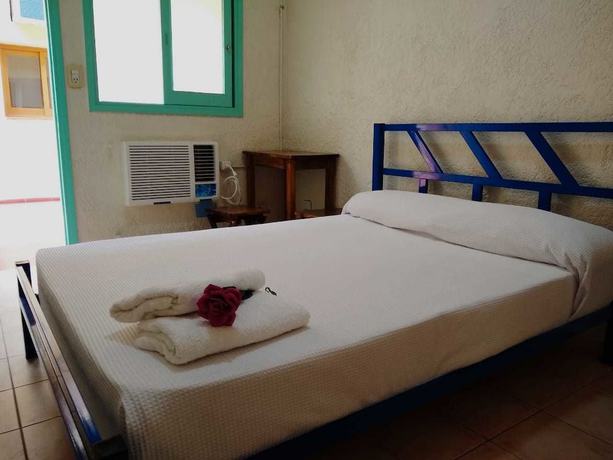 Imagen de la habitación del Hotel Black Sheep International Hostel. Foto 14