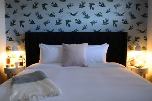 Imagen de la habitación del Hotel Black Swan - Sobro Nashville. Foto 2