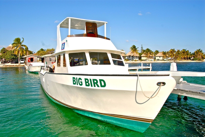 Imagen general del Hotel Blackbird Resort. Foto 3