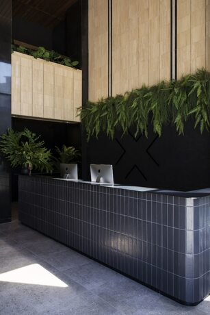 Imagen general del Hotel Blackbrick Sandton One. Foto 6