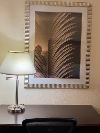 Imagen de la habitación del Hotel Blackwater Inn. Foto 15