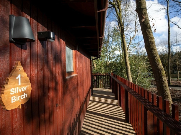 Imagen general del Hotel Blackwood Forest Silver Birch Wheelchair Accessible Cabin. Foto 1