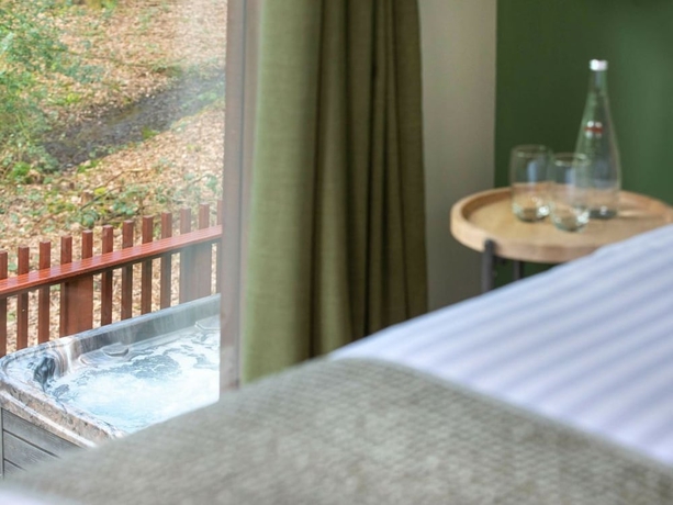 Imagen de los interiores del Hotel Blackwood Forest Silver Birch Wheelchair Accessible Cabin. Foto 14