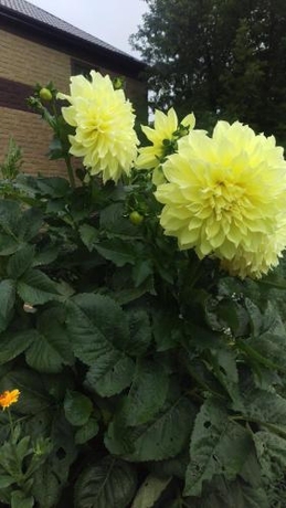 Imagen general del Hotel Blagodat. Foto 5