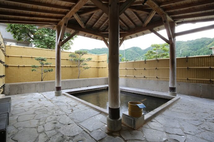 Imagen general del Hotel Blanc Art Misasa. Foto 10