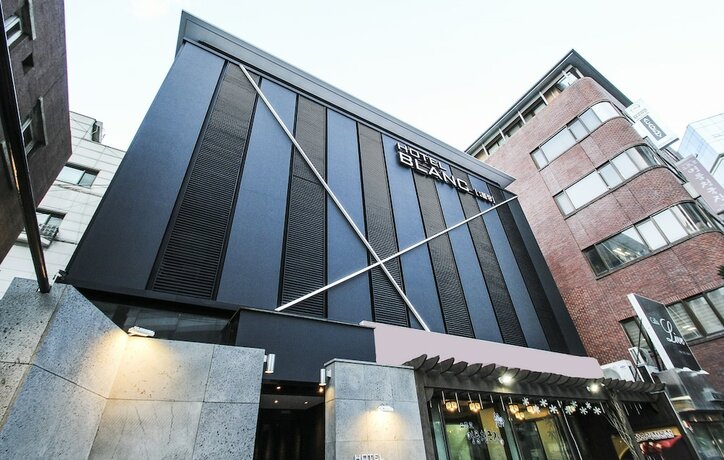 Imagen general del Hotel Blanc Hotel Gangnam. Foto 13