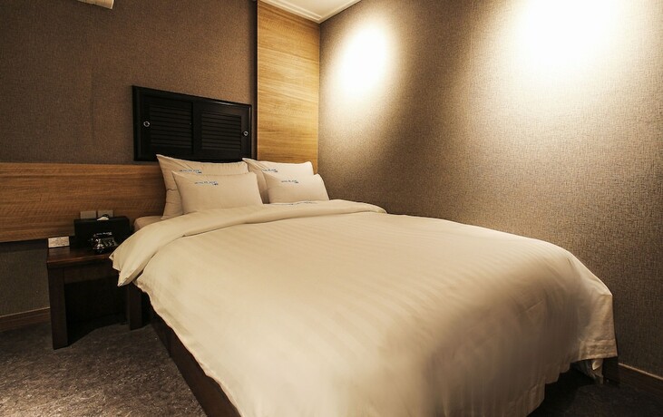 Imagen de la habitación del Hotel Blanc Hotel Gangnam. Foto 29