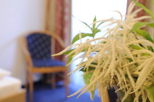 Imagen de la habitación del Hotel Blattlhof. Foto 2