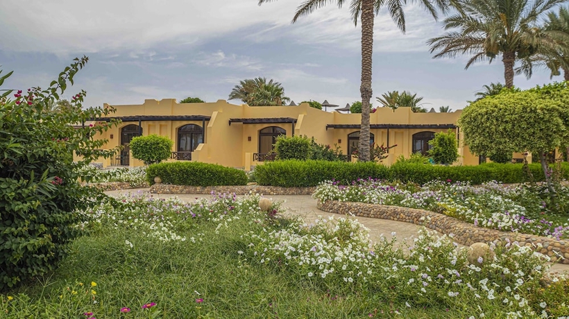 Imagen de la habitación del Hotel Blend Elphinstone Resort Marsa Alam. Foto 15