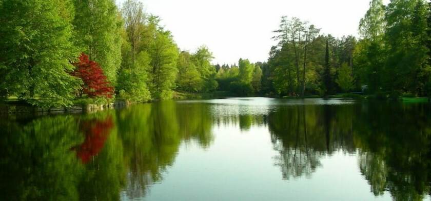 Imagen general del Hotel Blick zum Maimont. Foto 2