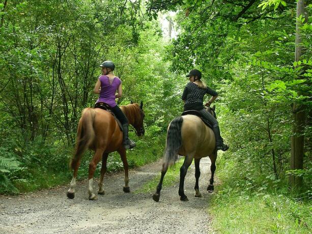 Imagen general del Hotel Blick zum Maimont. Foto 16