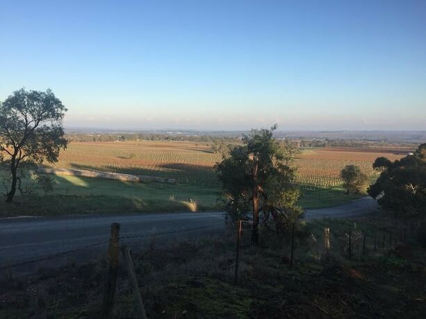 Imagen general del Hotel Blickinstal Barossa Valley Retreat. Foto 8