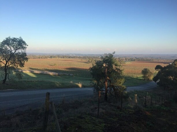 Imagen de los exteriores del Hotel Blickinstal Barossa Valley Retreat. Foto 23