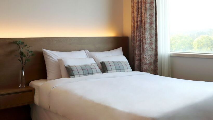 Imagen general del Hotel Bloom Hotel. Foto 3