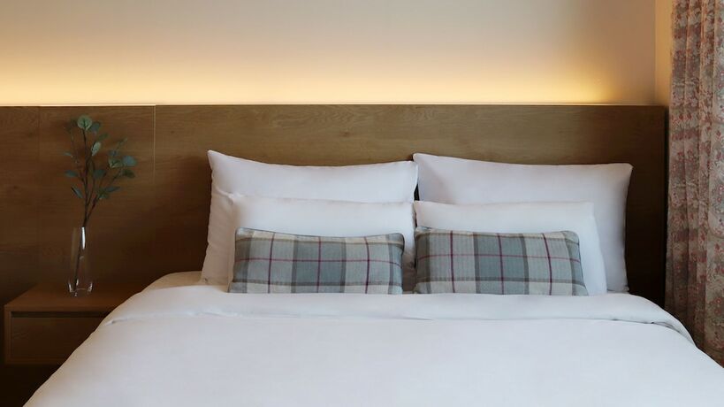 Imagen general del Hotel Bloom Hotel. Foto 6