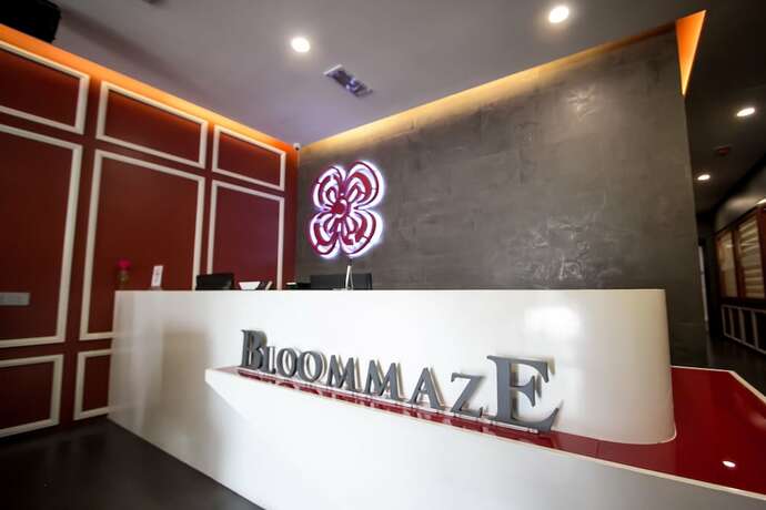 Imagen general del Hotel Bloommaze Boutique. Foto 4