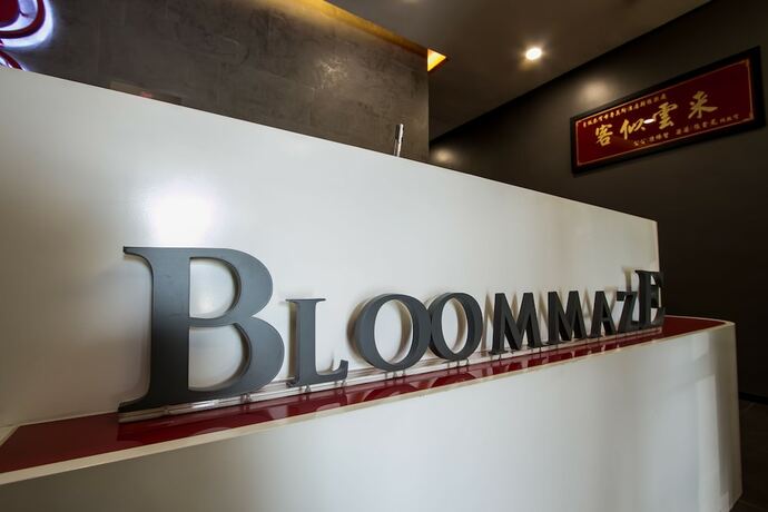 Imagen general del Hotel Bloommaze Boutique. Foto 8