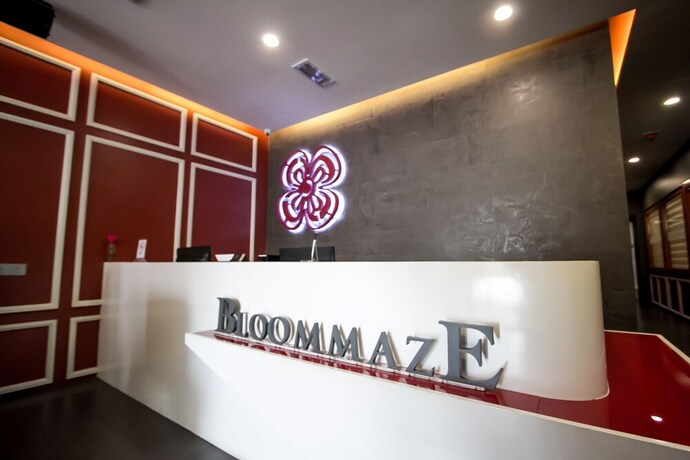 Imagen de los interiores del Hotel Bloommaze Boutique. Foto 31