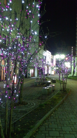 Imagen de los exteriores del Hotel Blossom Hirosaki. Foto 15