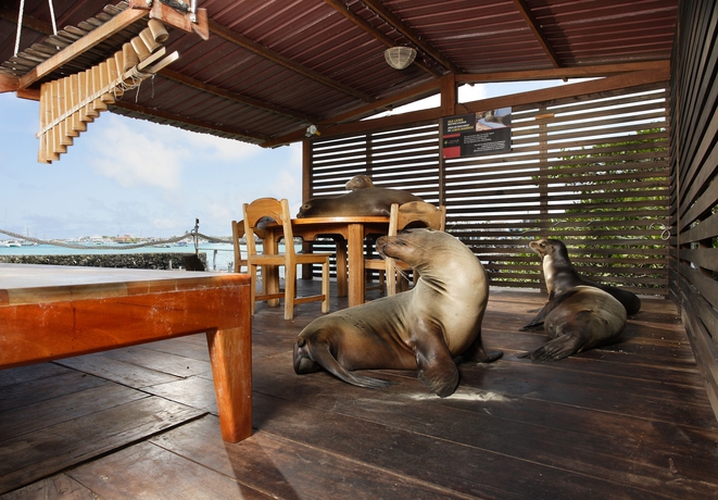 Imagen de los exteriores del Hotel Blu Galapagos Sustainable Waterfront Lodge. Foto 8