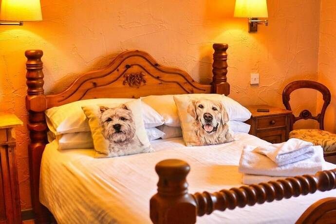 Imagen de la habitación del Hotel Blue Ball Inn. Foto 14