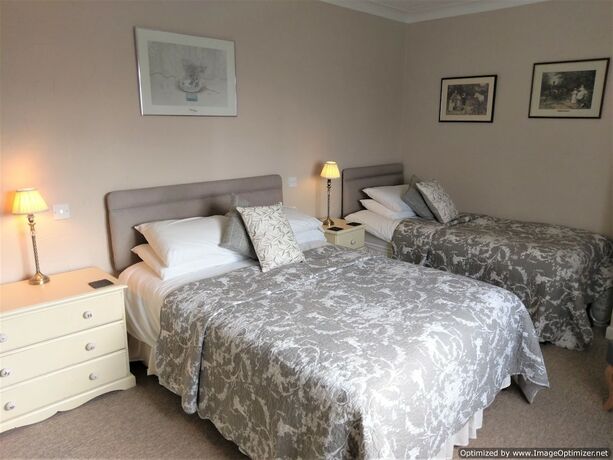 Imagen general del Hotel Blue Ball Inn. Foto 3