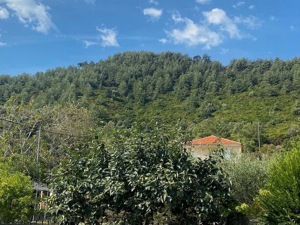 Imagen de la habitación del Hotel Blue Bay Beach. Foto 18