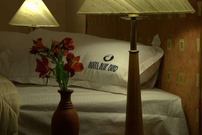 Imagen de la habitación del Hotel Blue Bird, Udhagamandalam. Foto 29