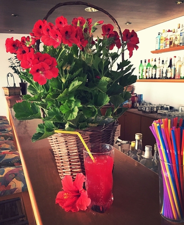 Imagen del bar/restaurante del Hotel Blue Crane Apts. Foto 3