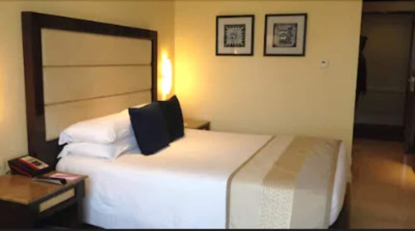 Imagen de la habitación del Hotel Blue Diamond - Ihcl Seleqtions. Foto 9