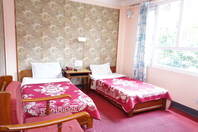 Imagen de la habitación del Hotel Blue Diamond, Katmandu. Foto 9