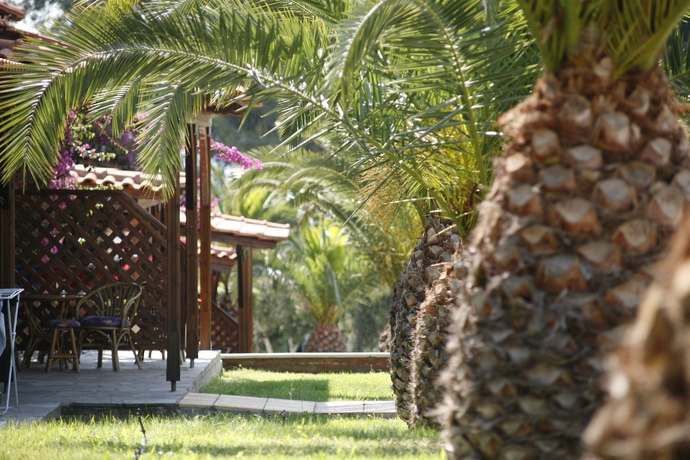 Imagen de la habitación del Hotel Blue Dolphin. Foto 8