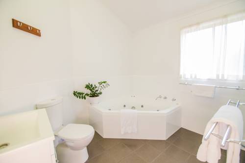 Imagen de la habitación del Hotel Blue Dolphin Holiday Resort. Foto 3