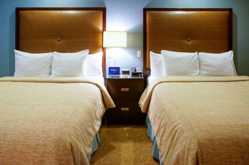 Imagen de la habitación del Hotel Blue Dolphin Inn. Foto 2