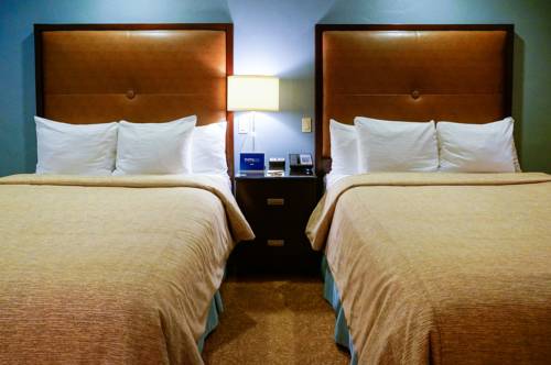 Imagen de la habitación del Hotel Blue Dolphin Inn. Foto 13