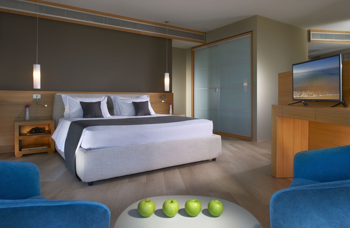 Imagen de la habitación del Hotel Blue Dolphin, Metamorfosi. Foto 12