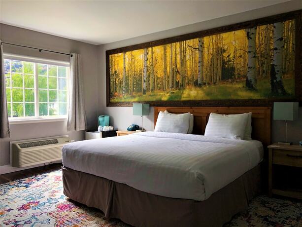 Imagen de la habitación del Hotel Blue Elk Inn. Foto 18
