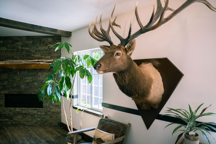 Imagen general del Hotel Blue Elk Inn. Foto 8