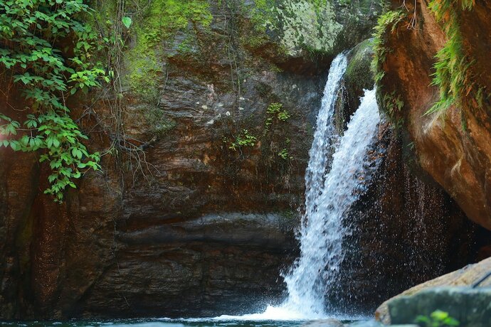 Imagen general del Hotel Blue Ginger Resorts. Foto 9