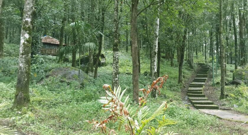 Imagen de la habitación del Hotel Blue Ginger Resorts. Foto 15