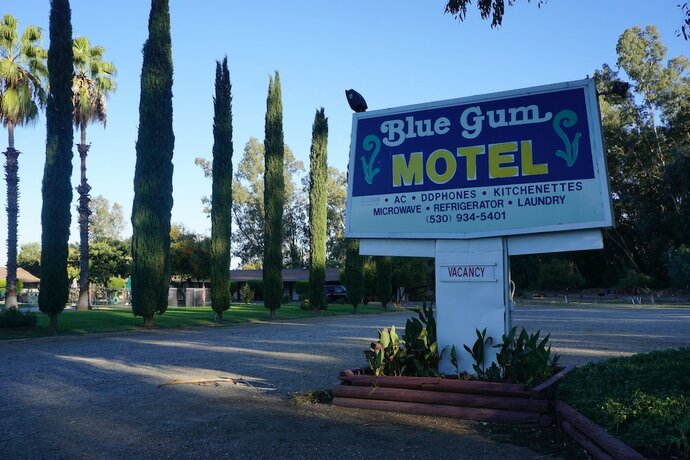 Imagen general del Hotel Blue Gum Motel. Foto 1