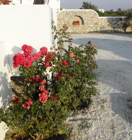 Imagen de la habitación del Hotel Blue Harmony Apartments. Foto 12