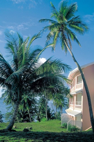 Imagen de los exteriores del Hotel Blue Haven. Foto 5