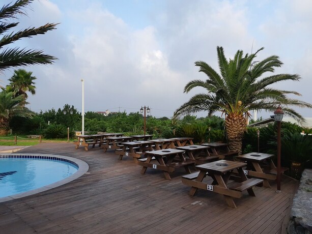 Imagen del bar/restaurante del Hotel Blue Hawaii Resort. Foto 18