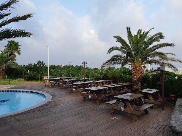 Imagen general del Hotel Blue Hawaii Resort. Foto 16