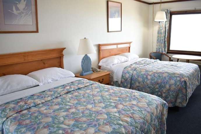 Imagen de la habitación del Hotel Blue Heron Motel. Foto 18